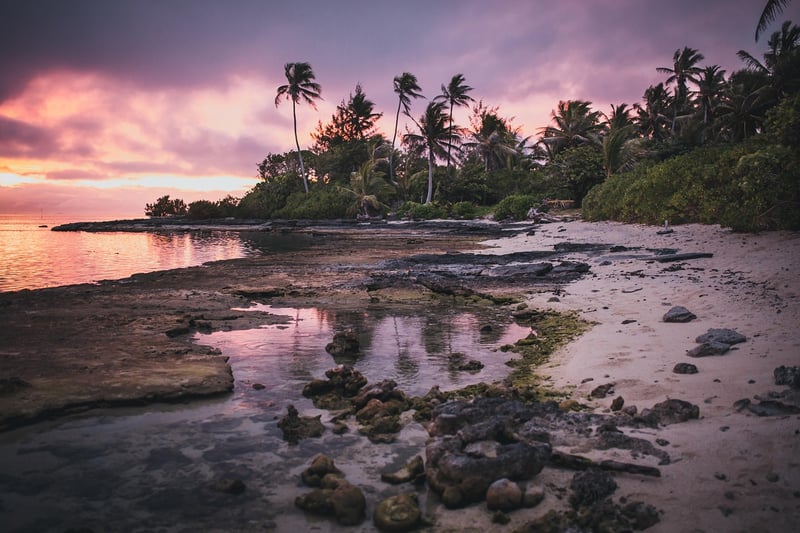 Tropical Beach Paradise